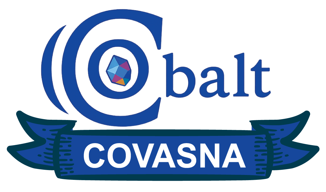 Web Design Covasna — Cobalt Graphics