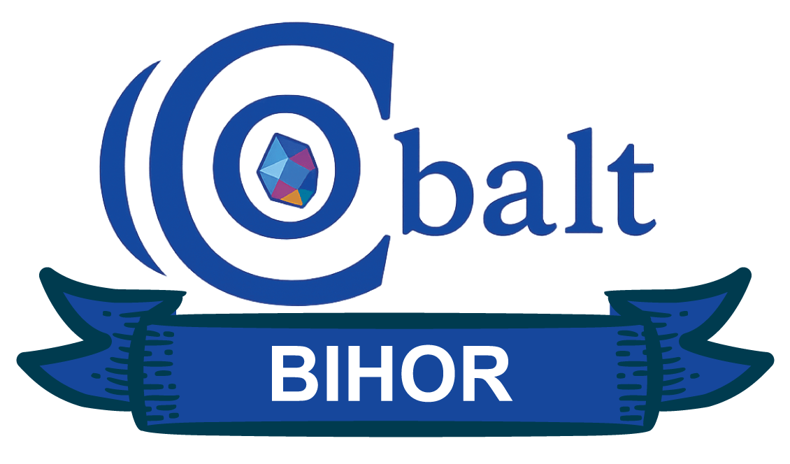 Cobalt Graphics — Bihor
