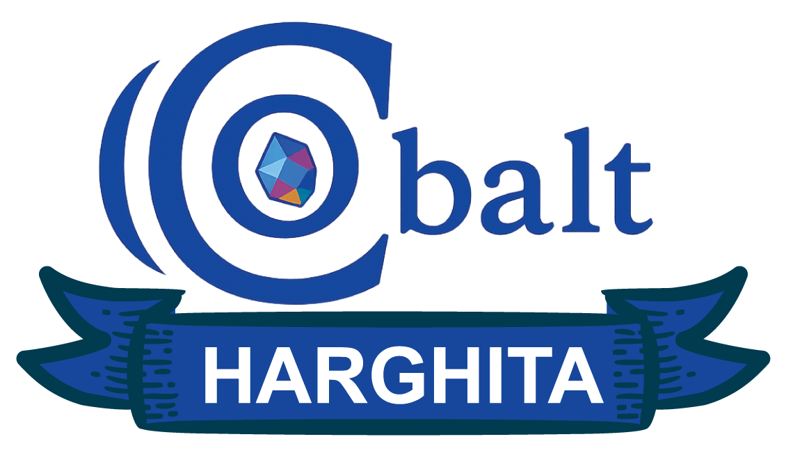 Web design Harghita — Cobalt Graphics
