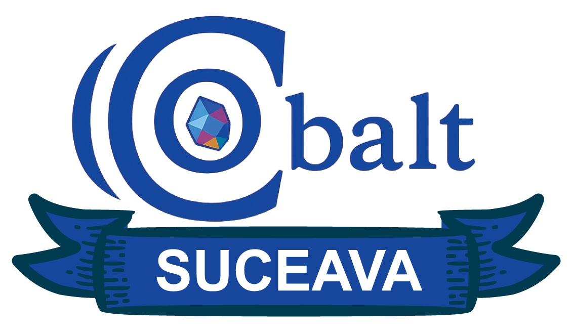 Web design Frasin — Cobalt Graphics