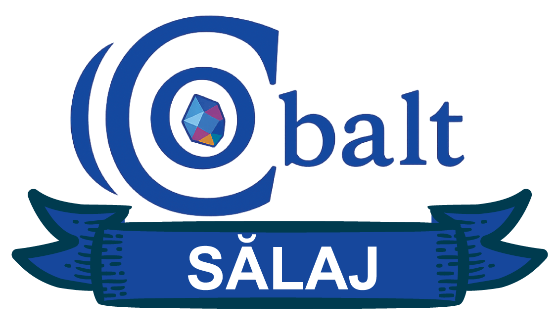 Cobalt Graphics — Sălaj