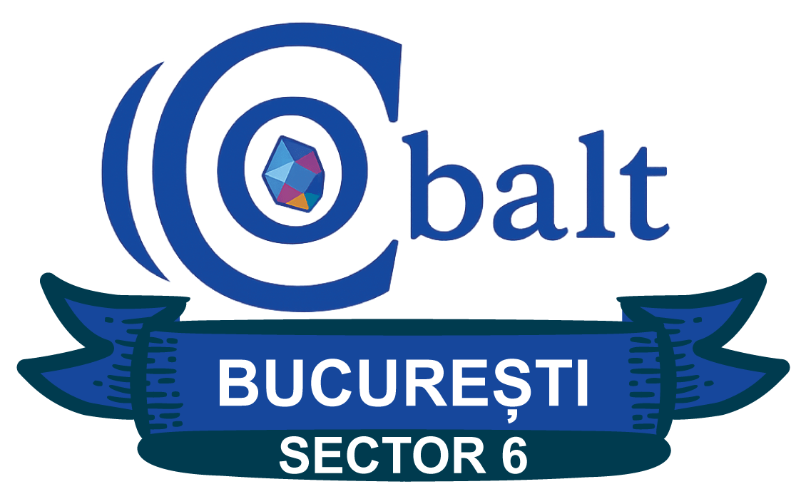 Web Design Prelungirea Ghencea Cobalt Graphics